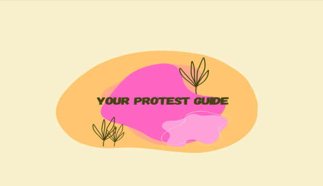 Your Protest Guide